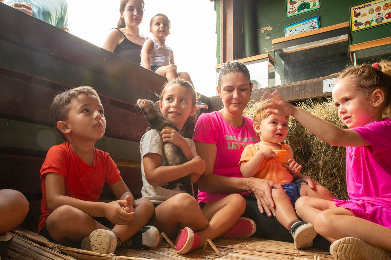Convivência com os animais